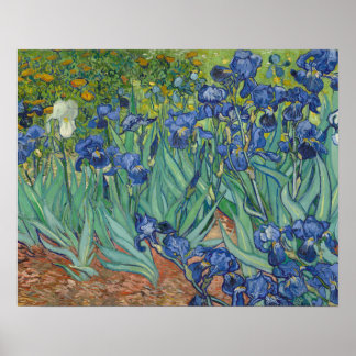 Vincent van Gogh - Ire Poster