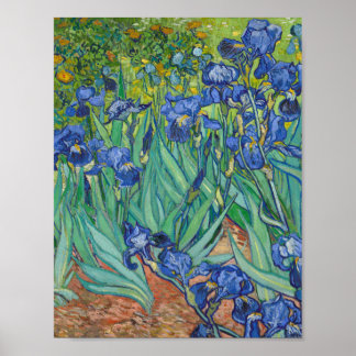 Vincent Van Gogh - Ire Poster