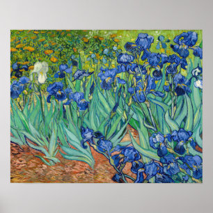Vincent Van Gogh - Ire Poster