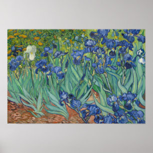 Vincent van Gogh - Iris Poster