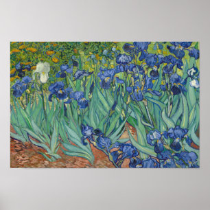 Vincent van Gogh - Iris Poster