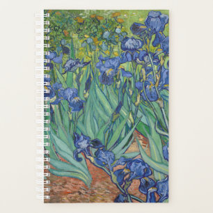 Vincent Van Gogh - Irises