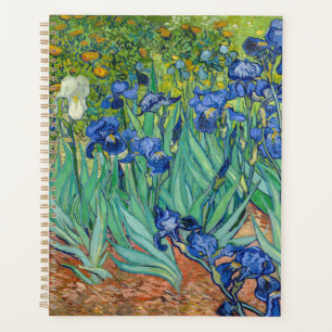 Vincent Van Gogh - Irises
