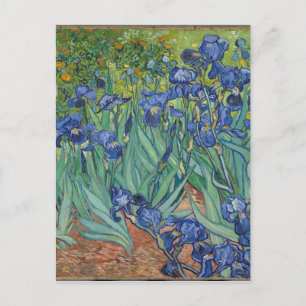Vincent Van Gogh Irises Malerei Blume Kunstwerk Postkarte