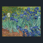Vincent Van Gogh Irises Poster<br><div class="desc">Sehen Sie sich die atemberaubende Schönheit von Vincent Van Gogh's 'Iren' an. Dieses Meisterwerk vereint Ruhe und Harmonie mit seinen lebhaften Farben und zarten Pinselstrichen. Jedes Blatt scheint in der sanften Brise zu tanzen und lädt die Zuschauer in eine Welt der Gelassenheit und des Staunens ein. Dieses ikonische Gemälde zeugt...</div>