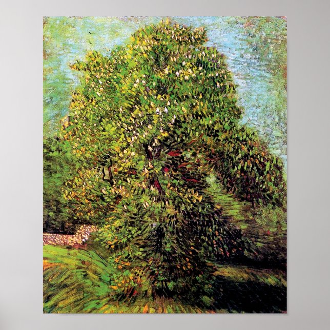 Vincent Van Gogh - Kastanienbaum in Blossom Poster (Vorne)