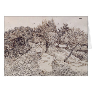 Vincent van Gogh   Les Oliviers