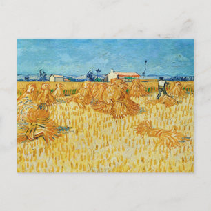 Vincent Van Gogh, Maisernte in der Provence Postkarte