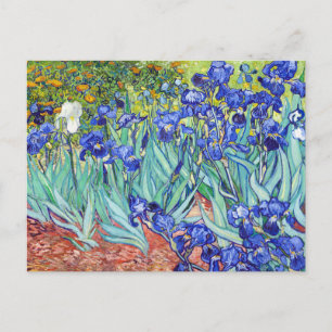 Vincent Van Gogh malt Irises Feiertagspostkarte