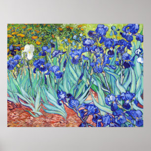 Vincent Van Gogh maltet Schwertlilien Poster
