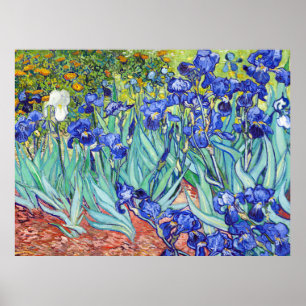 Vincent Van Gogh maltet Schwertlilien Poster