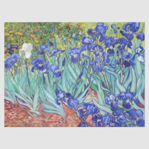 Vincent Van Gogh maltet Schwertlilien Seidenpapier