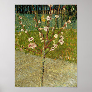 Vincent van Gogh - Mandelbaum in Blüte Poster