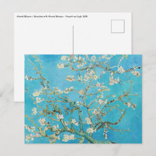 Vincent van Gogh - Mandelblüten Postkarte