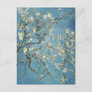 Vincent van Gogh   Mandelzweige in Blüte, 1890 Postkarte