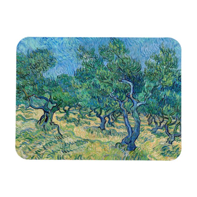 Vincent van Gogh - Olive Grove Magnet (Horizontal)