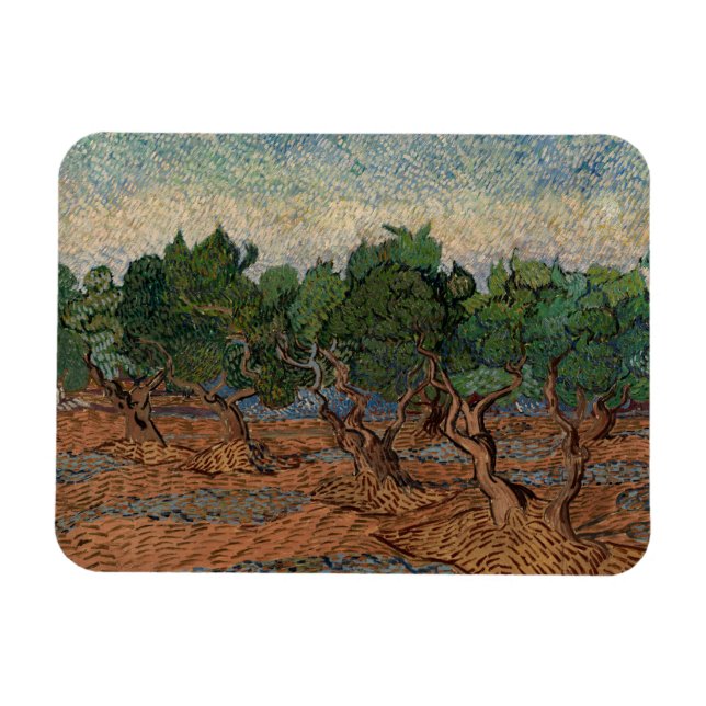 Vincent van Gogh - Olive Grove Magnet (Horizontal)