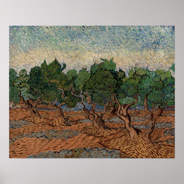 Vincent van Gogh - Olive Grove Poster (Vorne)