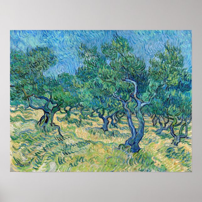 Vincent van Gogh - Olive Grove Poster (Vorne)