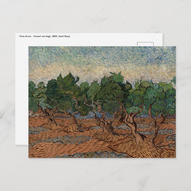 Vincent van Gogh - Olive Grove Postkarte (Vorne/Hinten)