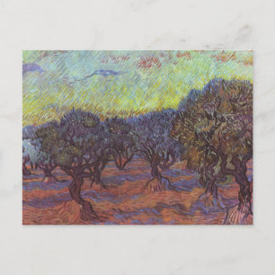 Vincent Van Gogh - Olive Grove Postkarte