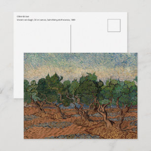 Vincent van Gogh - Olive Grove Postkarte