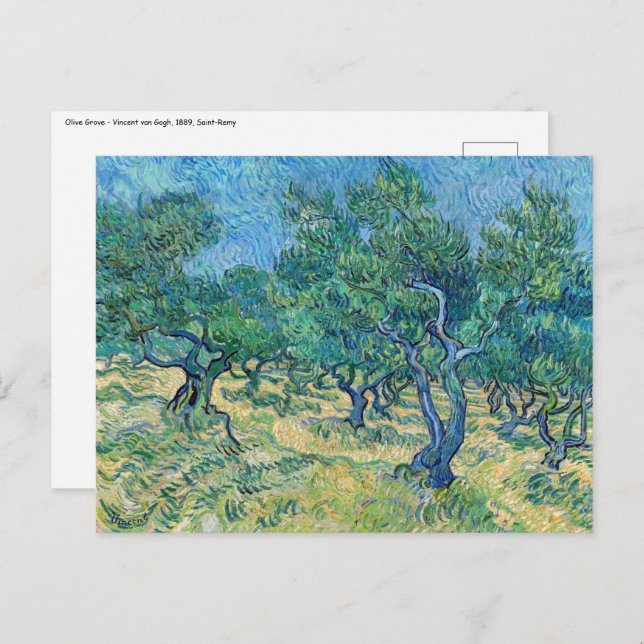 Vincent van Gogh - Olive Grove Postkarte (Vorne/Hinten)