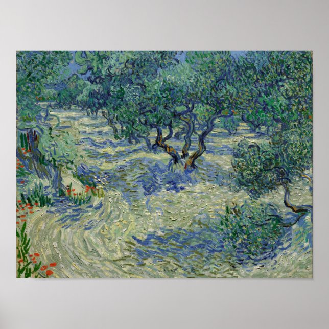 Vincent van Gogh - Olive Orchard Poster (Vorne)