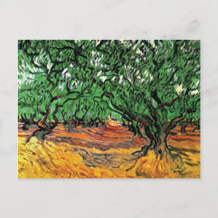 Vincent Van Gogh - Olivenbäume Fine Art Postkarte