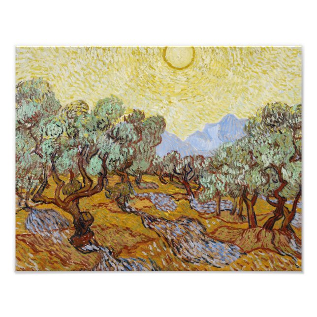 Vincent van Gogh - Olivenbäume Fotodruck (Vorne)