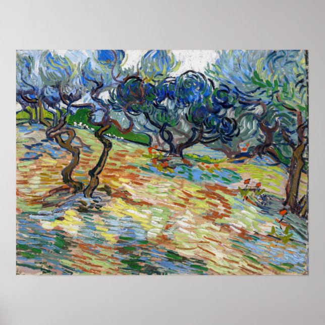 Vincent van Gogh - Olivenbäume: Hellblauer Himmel Poster (Vorne)