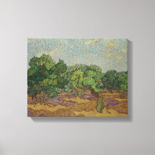 Vincent van Gogh - Olivenbäume Leinwanddruck