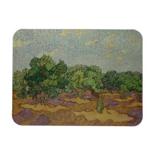 Vincent van Gogh - Olivenbäume Magnet