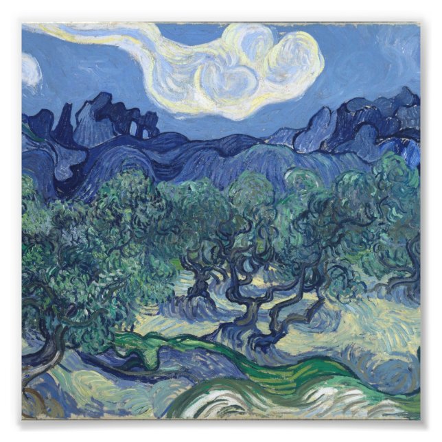 Vincent Van Gogh - Olivenbäume mit den Alpen Fotodruck (Vorne)