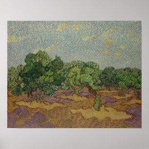 Vincent van Gogh - Olivenbäume Poster