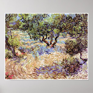 Vincent Van Gogh - Olivenhain Kunstdruck Poster