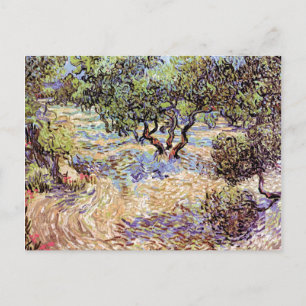 Vincent Van Gogh - Olivenhain Kunstdruck Postkarte