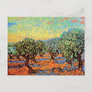 Vincent Van Gogh - Olivenhain mit orangem Himmel Postkarte