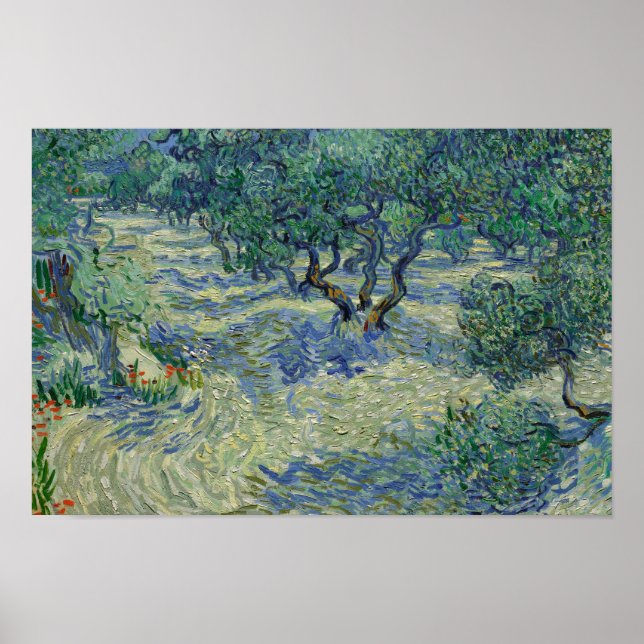 Vincent van Gogh - Olivenhain Poster (Vorne)