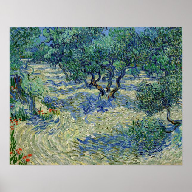 Vincent van Gogh - Olivenhain Poster (Vorne)