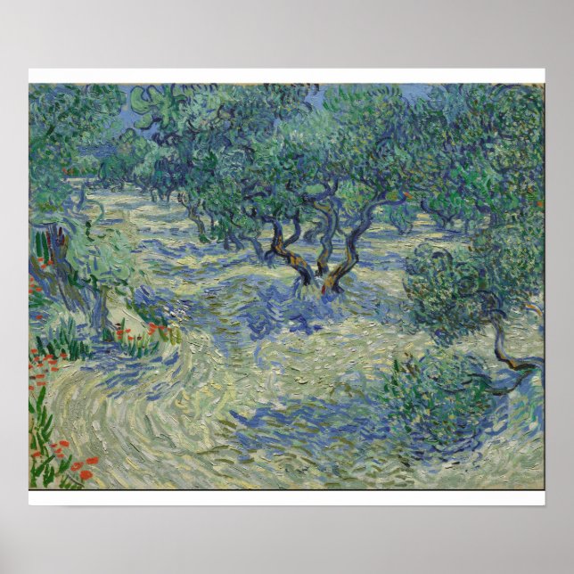 Vincent Van Gogh - Olivenhain Poster (Vorne)