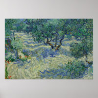 Vincent van Gogh - Olivenhain