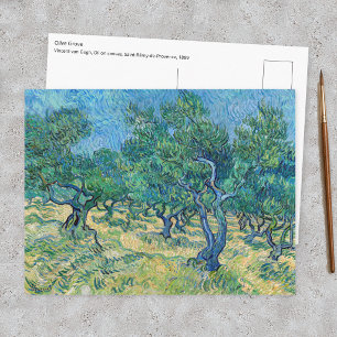 Vincent van Gogh - Olivenhain Postkarte