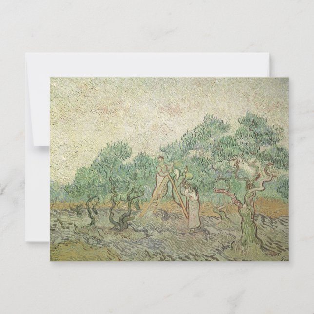 Vincent van Gogh - Olivenpflücker (Vorderseite)