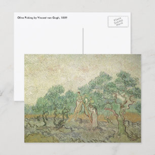 Vincent van Gogh - Ölpflücken Postkarte