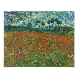 Vincent van Gogh - Poppy Field Fotodruck