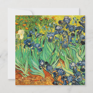 Vincent van Gogh,Schwertlilien