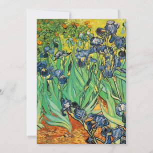 Vincent van Gogh,Schwertlilien