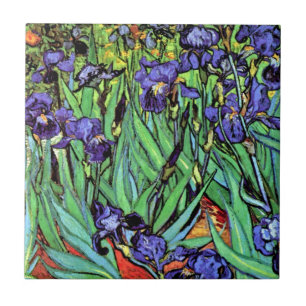 Vincent Van Gogh - Schwertlilien - Flower Lover Fi Fliese