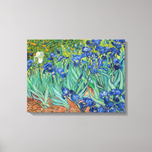 Vincent Van Gogh - Schwertlilien Leinwanddruck